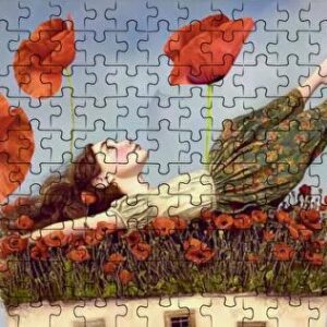 Freedom - Micro Puzzle