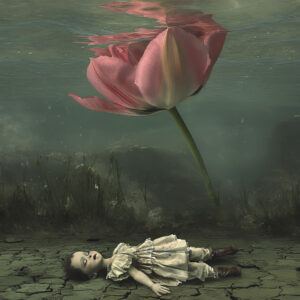 StoriesUntold - Kunstdruck